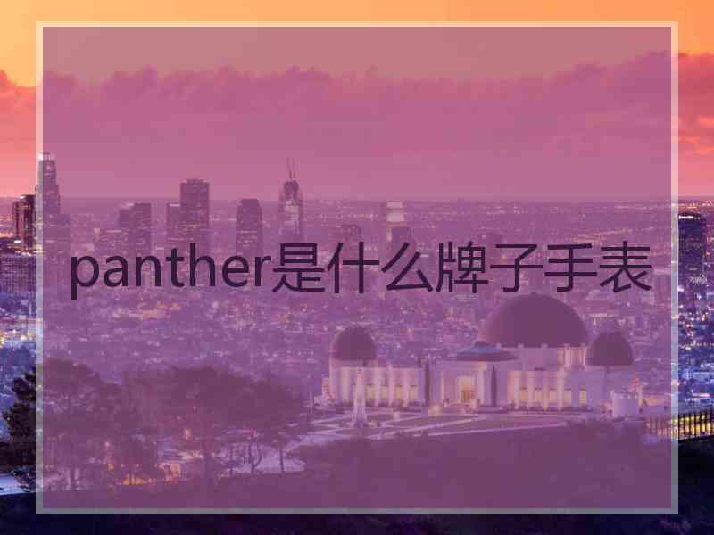 panther是什么牌子手表