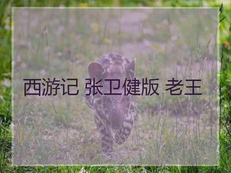 西游记 张卫健版 老王