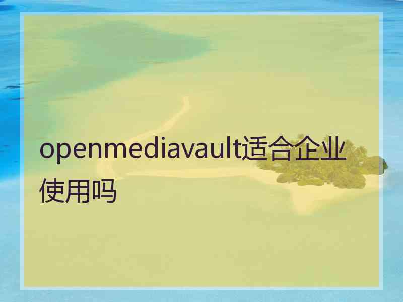 openmediavault适合企业使用吗