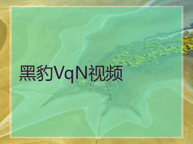 黑豹VqN视频