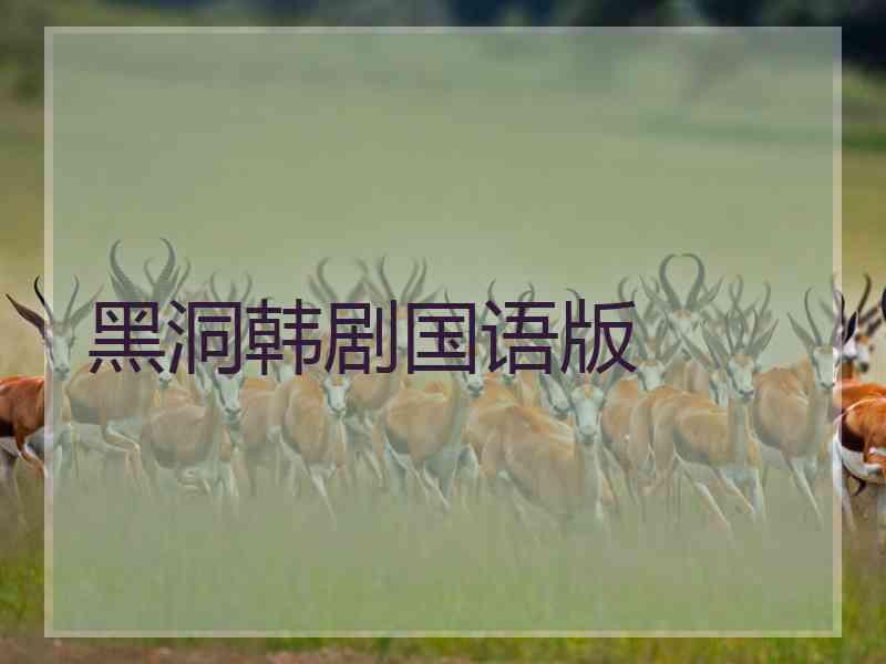 黑洞韩剧国语版