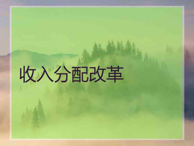 收入分配改革
