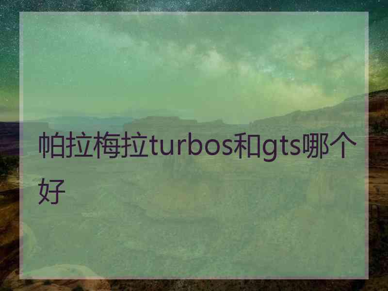 帕拉梅拉turbos和gts哪个好