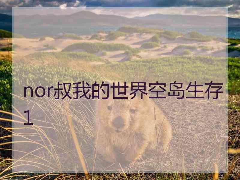 nor叔我的世界空岛生存1
