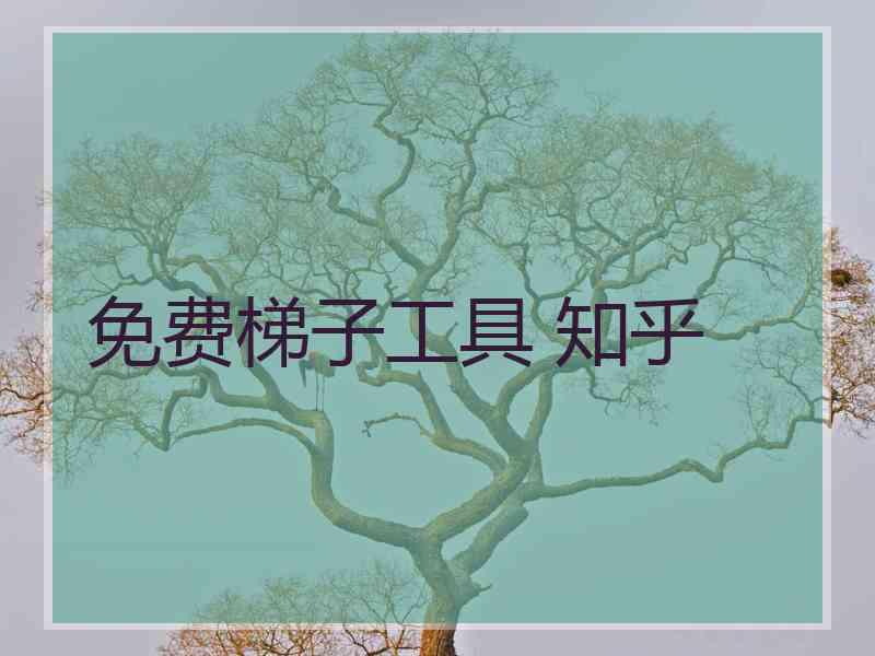免费梯子工具 知乎