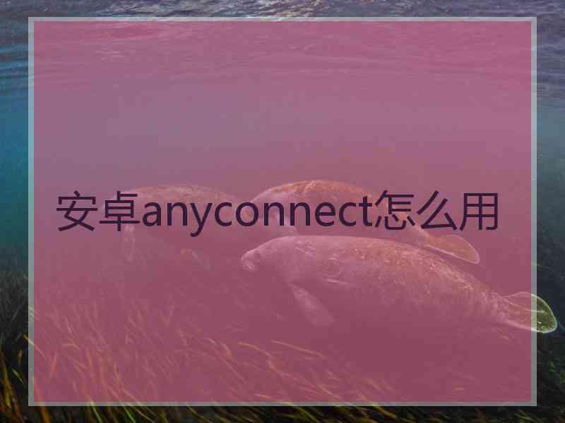 安卓anyconnect怎么用