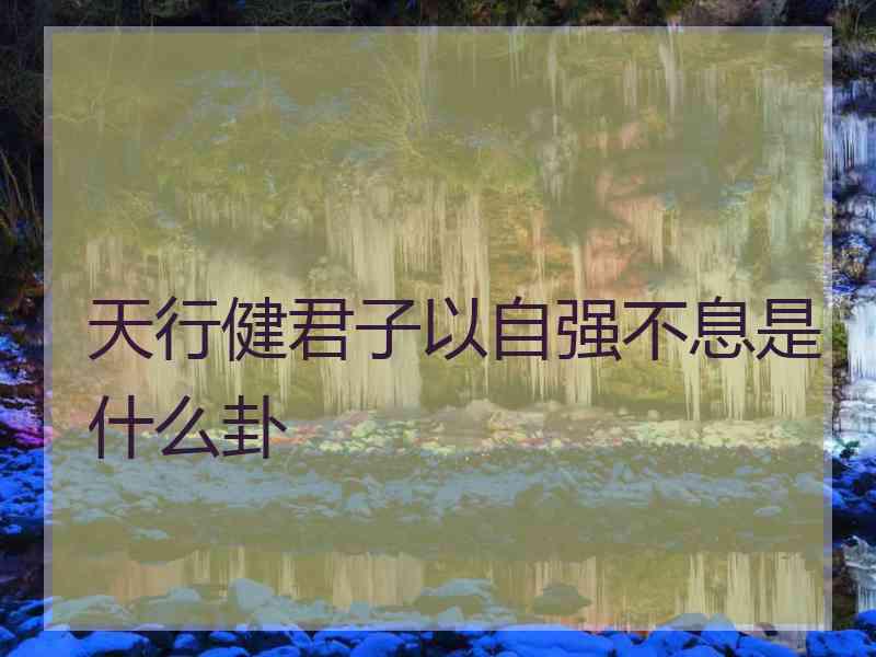 天行健君子以自强不息是什么卦