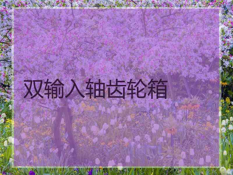 双输入轴齿轮箱