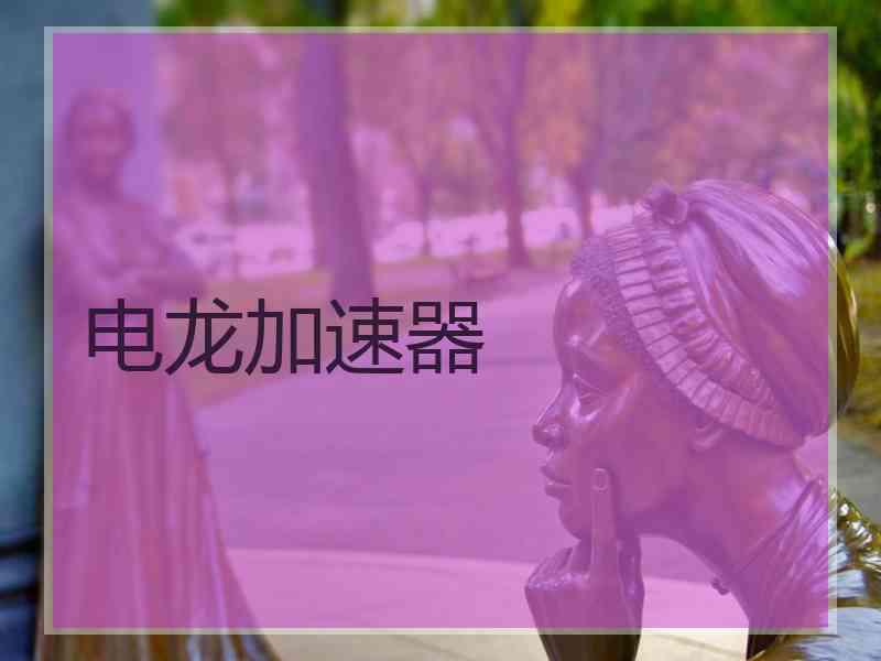 电龙加速器