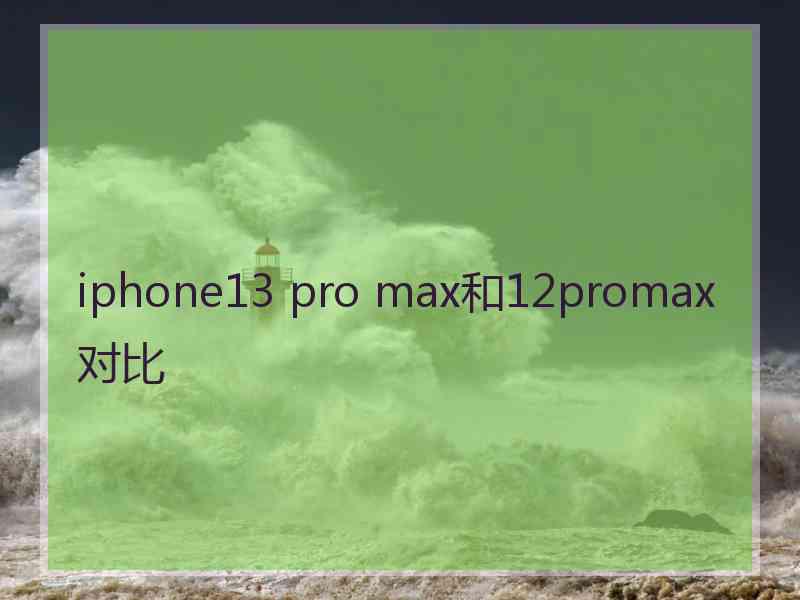iphone13 pro max和12promax对比