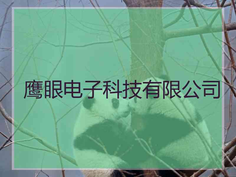 鹰眼电子科技有限公司