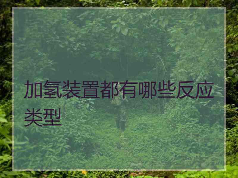 加氢装置都有哪些反应类型