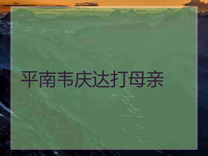 平南韦庆达打母亲