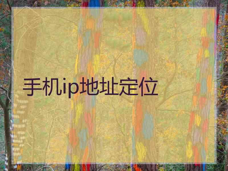 手机ip地址定位