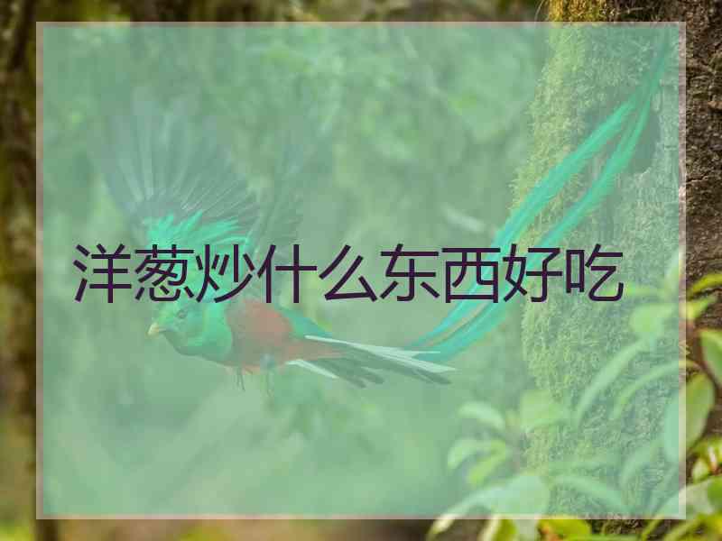 洋葱炒什么东西好吃