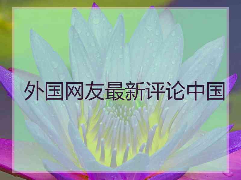 外国网友最新评论中国
