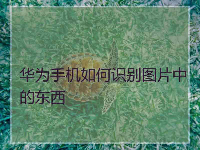 华为手机如何识别图片中的东西
