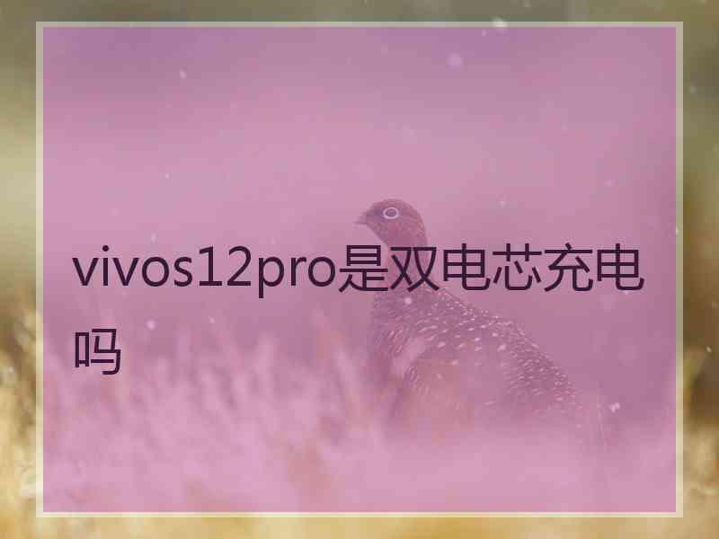 vivos12pro是双电芯充电吗
