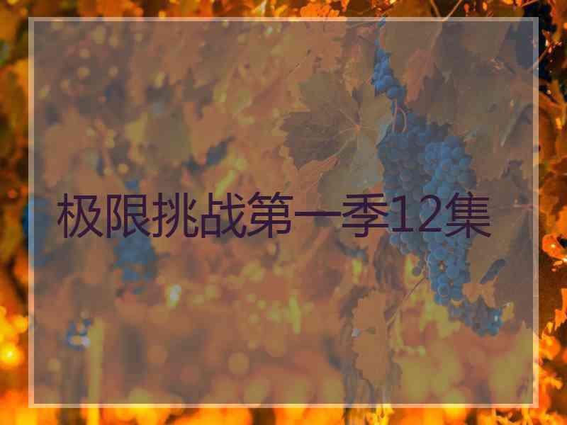 极限挑战第一季12集