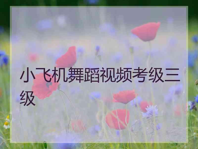 小飞机舞蹈视频考级三级