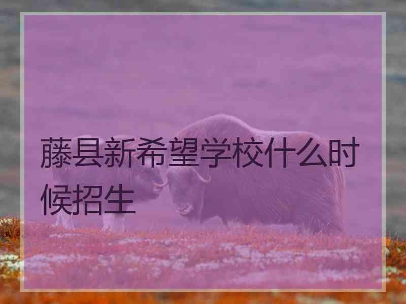 藤县新希望学校什么时候招生