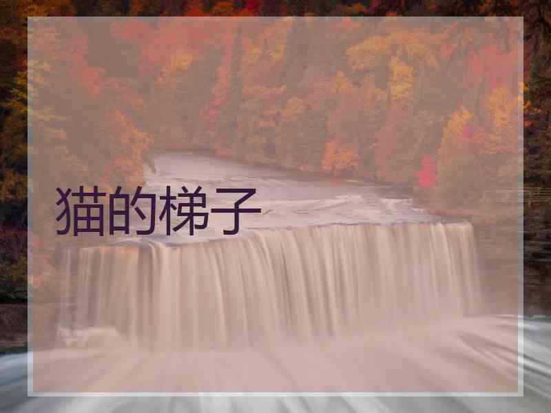 猫的梯子
