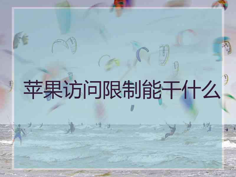 苹果访问限制能干什么