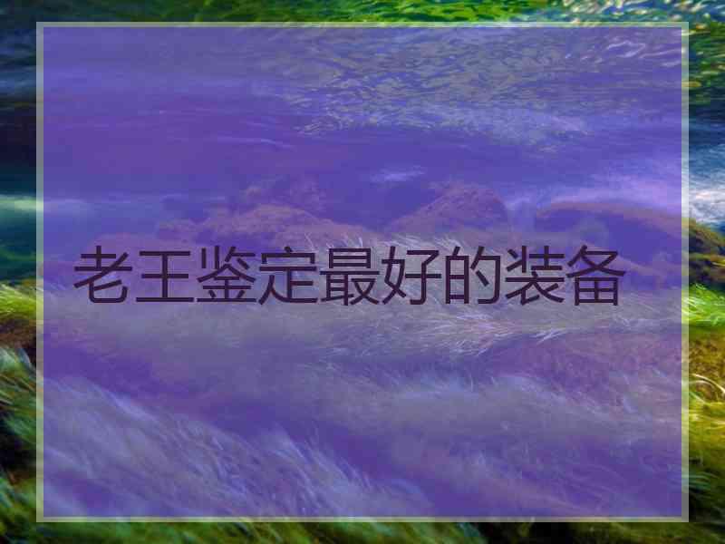 老王鉴定最好的装备