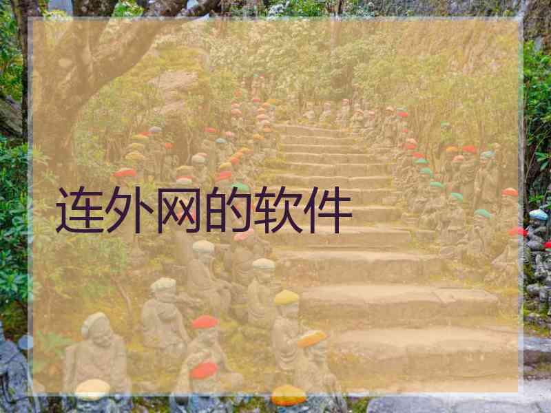 连外网的软件