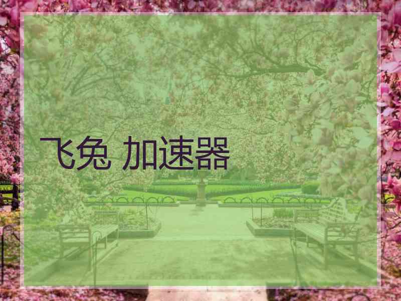 飞兔 加速器