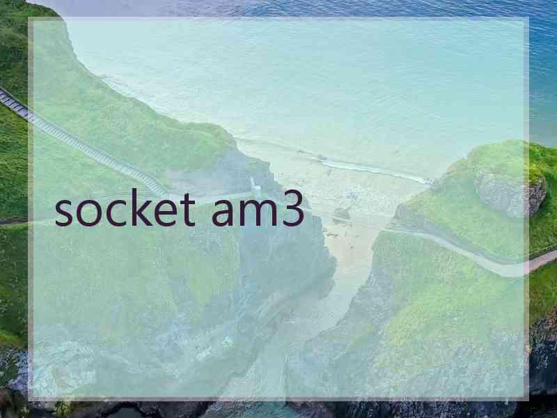 socket am3