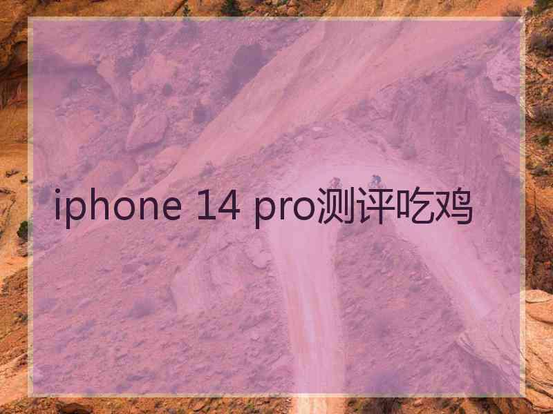 iphone 14 pro测评吃鸡
