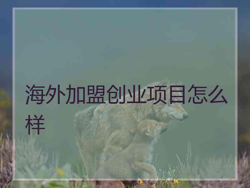 海外加盟创业项目怎么样