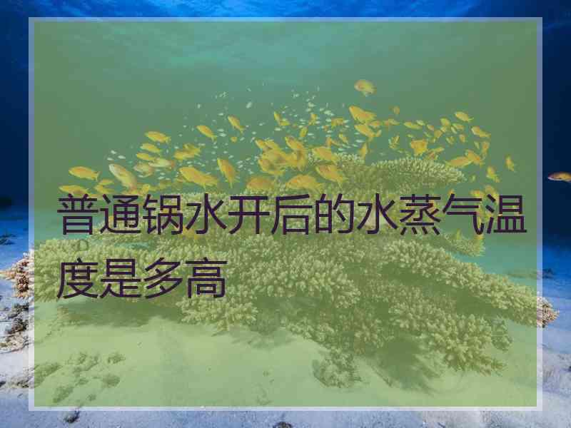 普通锅水开后的水蒸气温度是多高