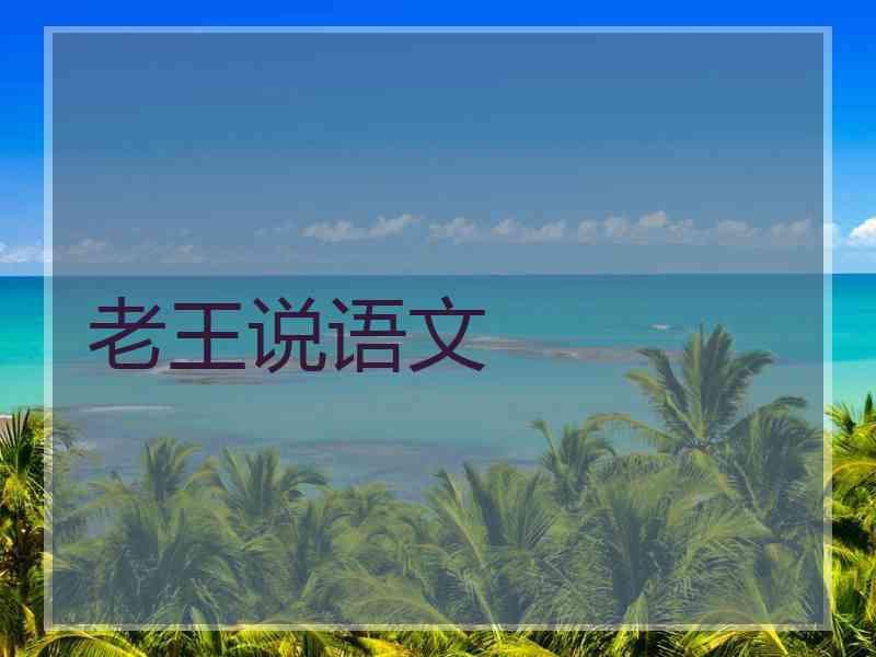 老王说语文