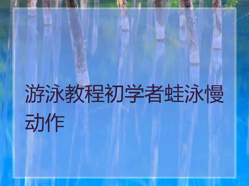 游泳教程初学者蛙泳慢动作