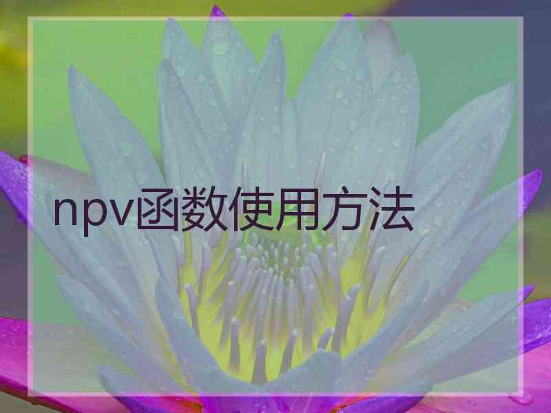 npv函数使用方法