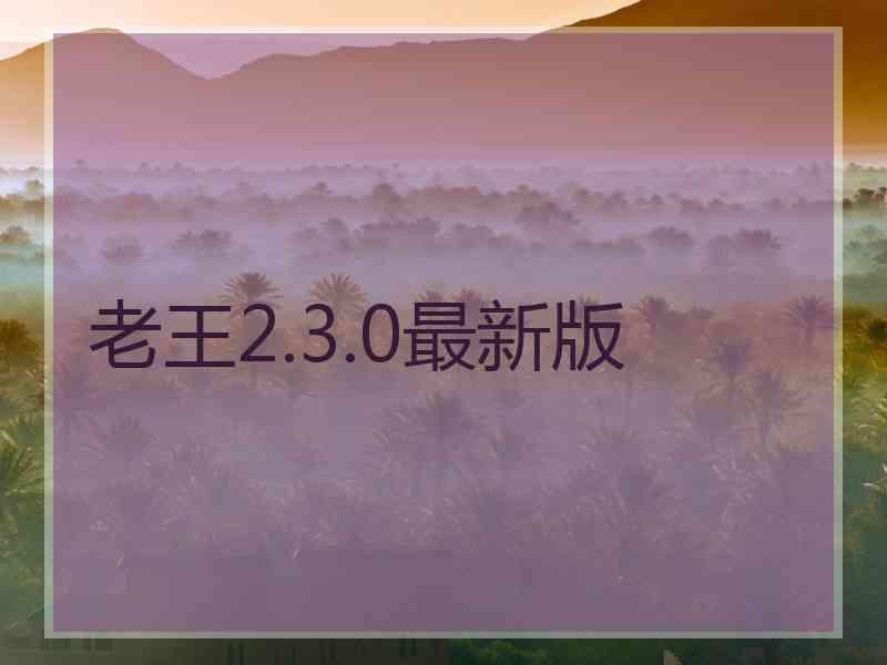 老王2.3.0最新版