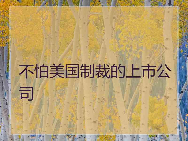 不怕美国制裁的上市公司