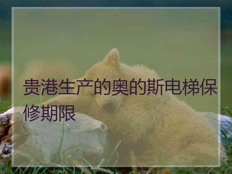 贵港生产的奥的斯电梯保修期限
