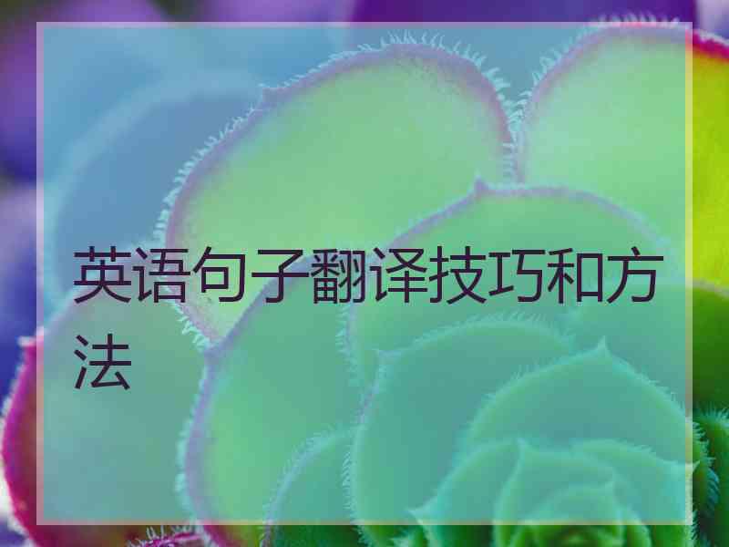 英语句子翻译技巧和方法