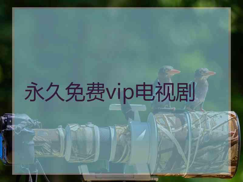 永久免费vip电视剧