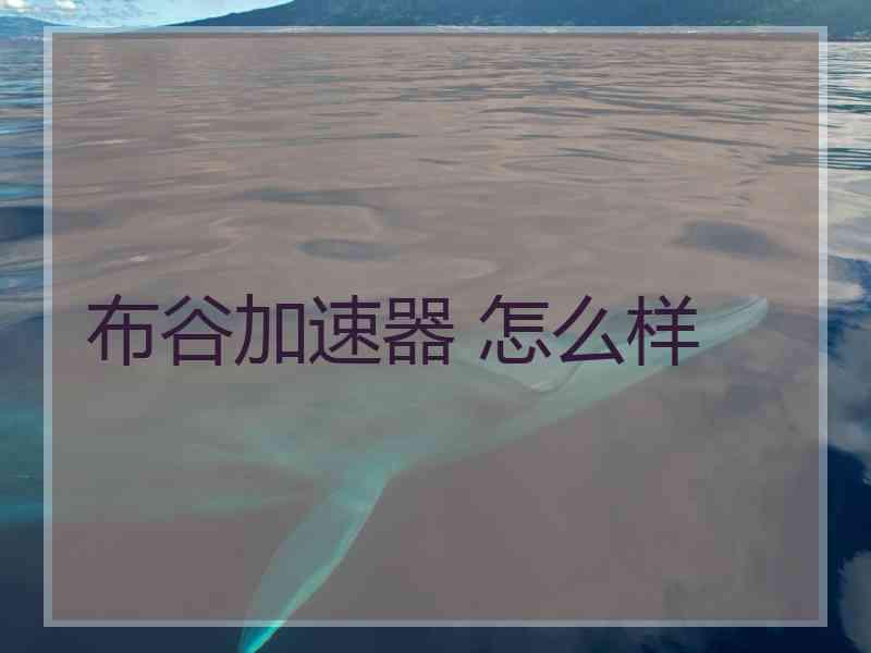 布谷加速器 怎么样
