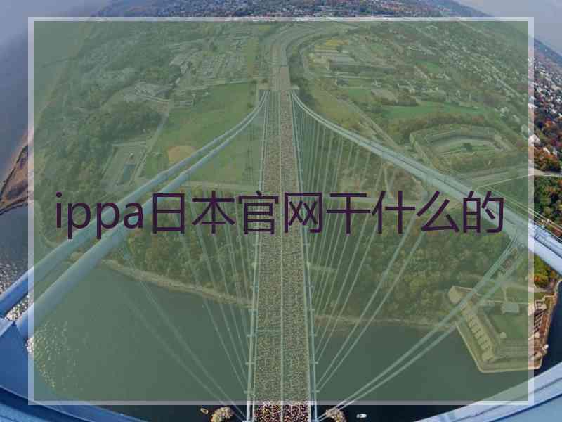 ippa日本官网干什么的