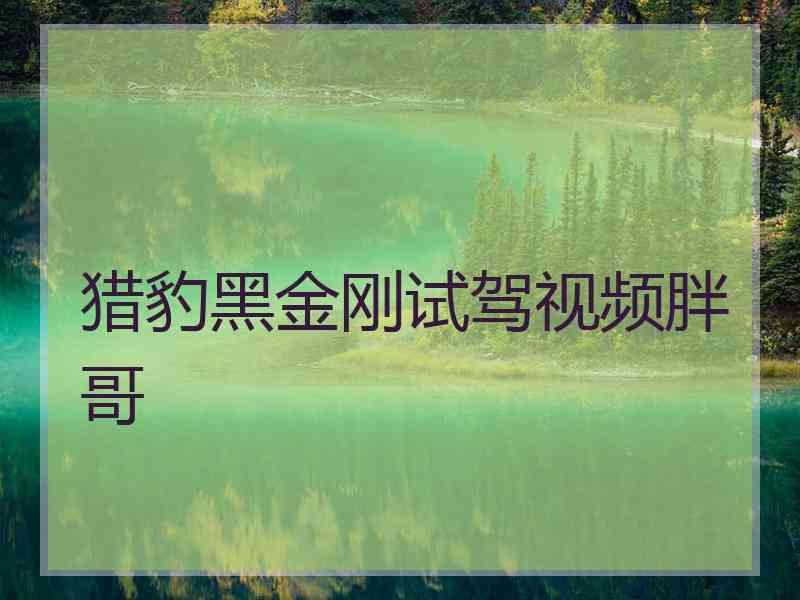 猎豹黑金刚试驾视频胖哥