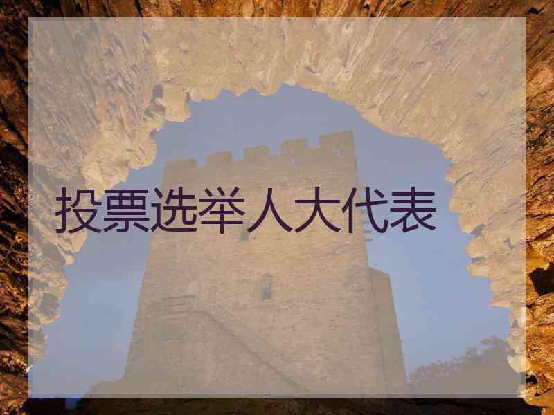 投票选举人大代表