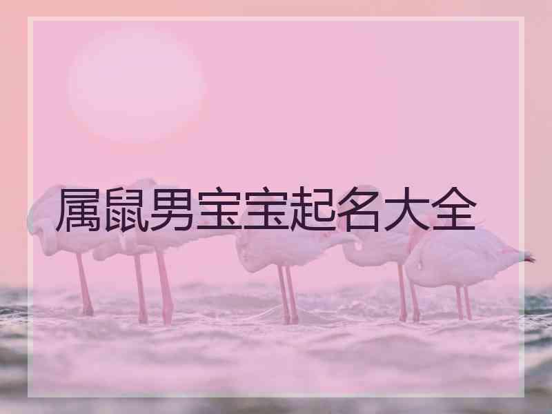 属鼠男宝宝起名大全