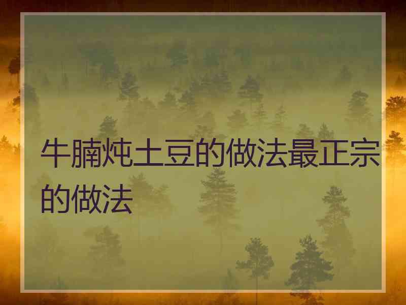 牛腩炖土豆的做法最正宗的做法