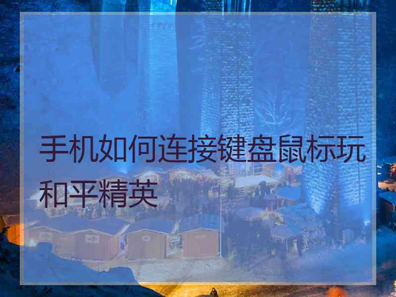 手机如何连接键盘鼠标玩和平精英
