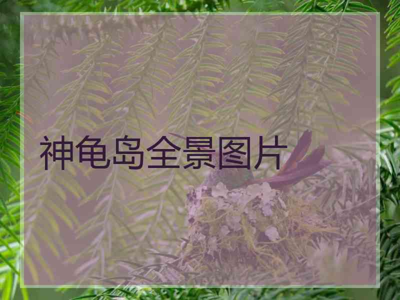 神龟岛全景图片